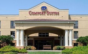 Comfort Inn And Suites Starkville Ms